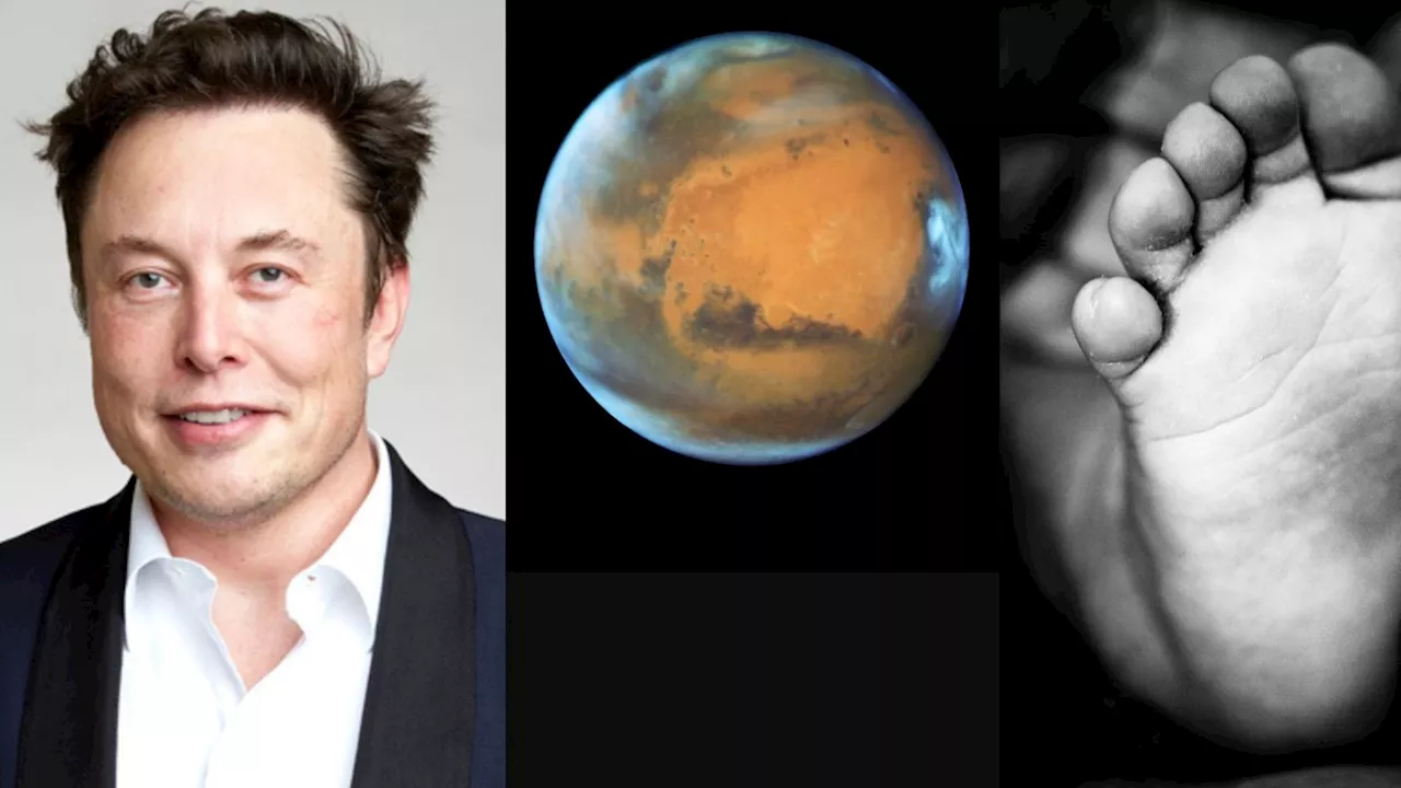 Is Elon Musk building a population for Mars with his 11 children?