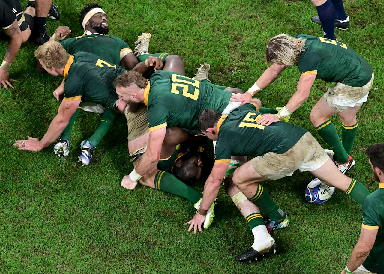 Springboks starting XV vs Wales: Prediction