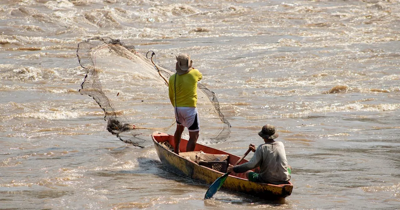 Gobierno invertirá $40 mil millones para fortalecer sectores de la pesca en el pacífico y Nariño