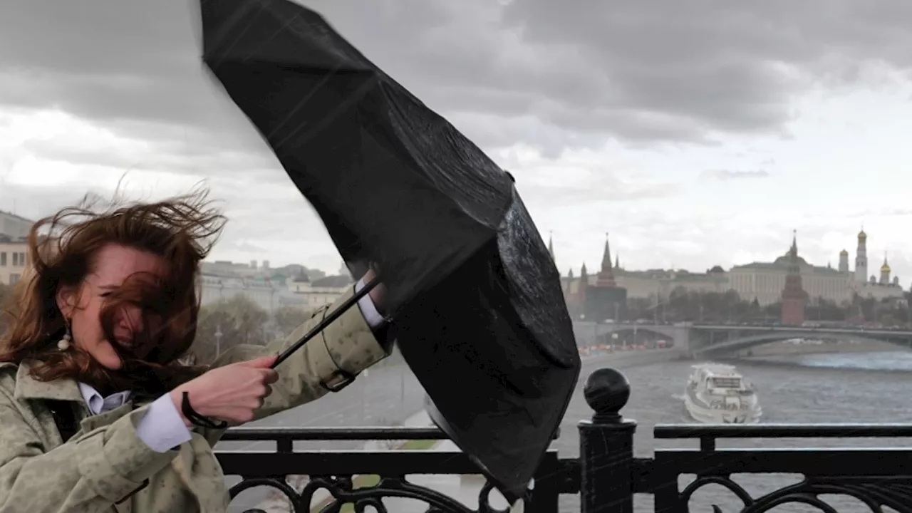 Из-за ливня и сильного ветра в Москве объявлено экстренное предупреждение