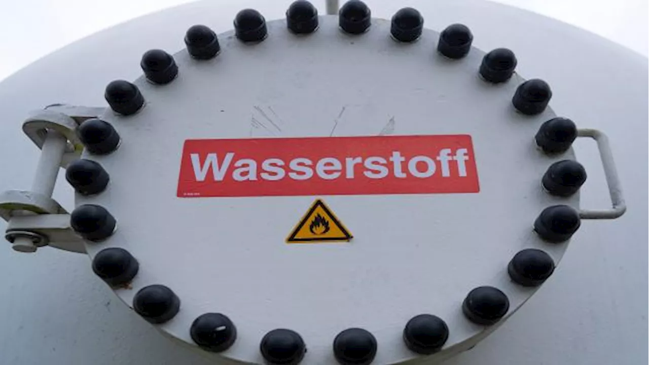 Diese Wasserstoff-Aktie könnte sich laut Analysten vervierfachen!