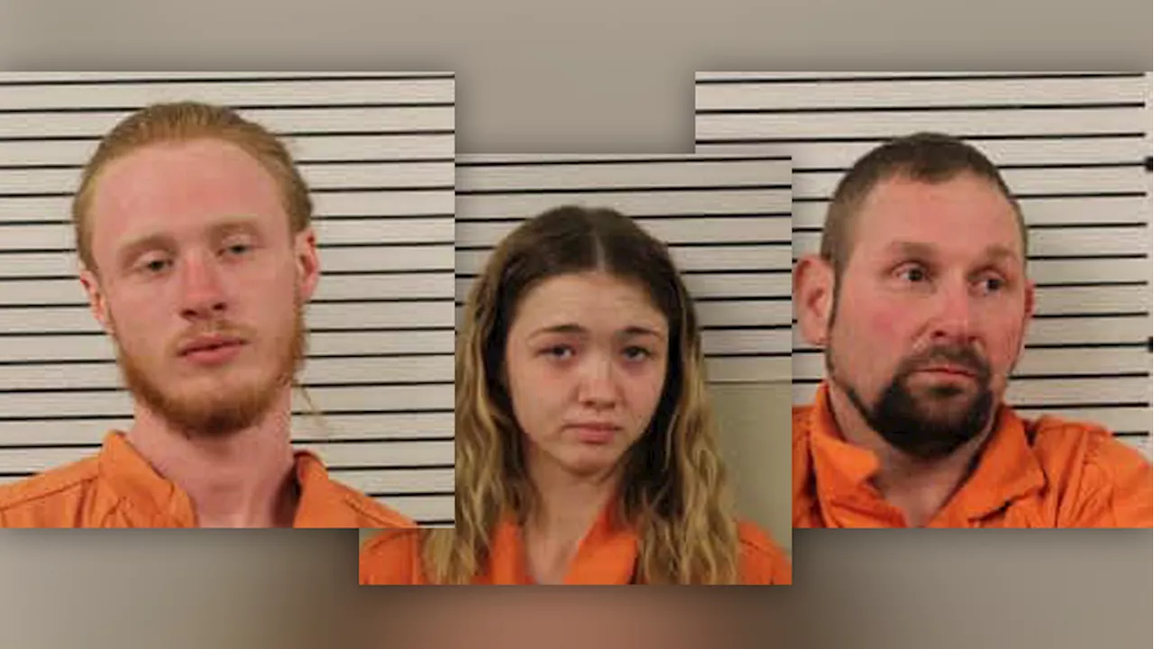 Tennessee trio accused of renting out Airbnb in order to 'terrorize' WNC community