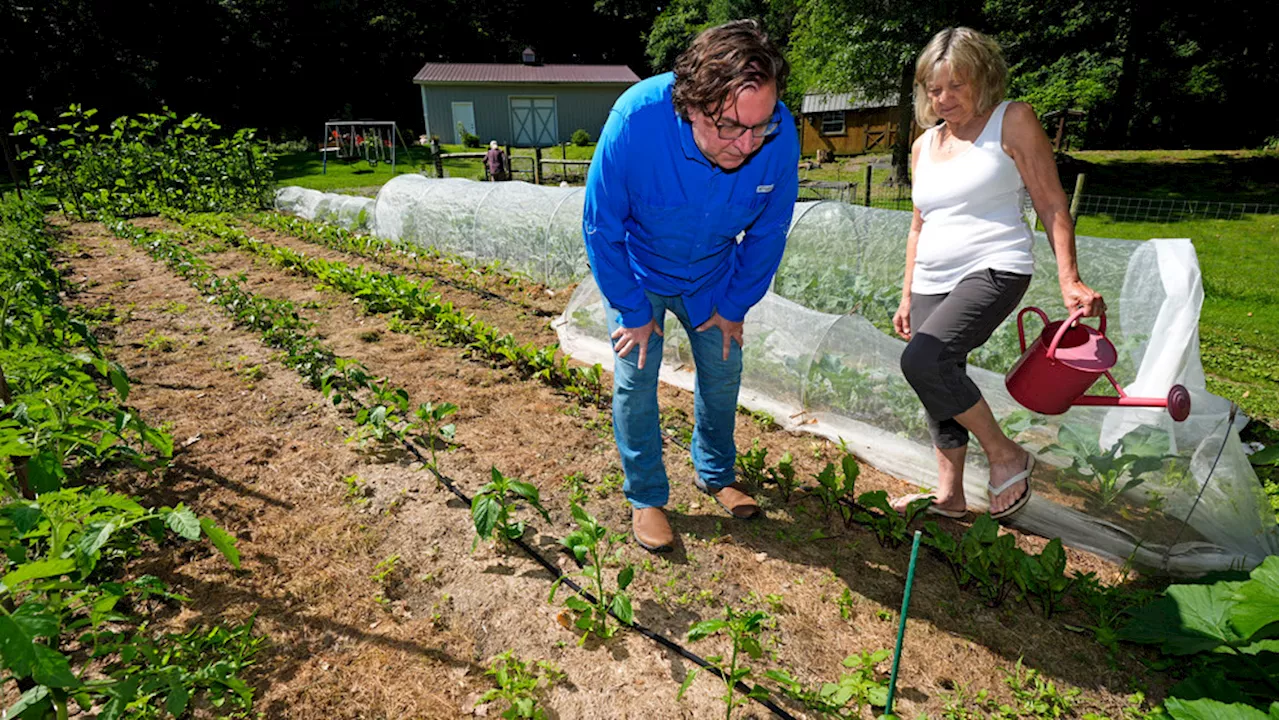 Toxic garlic should've prompted EPA warning against gardening near Ohio derailment: Group