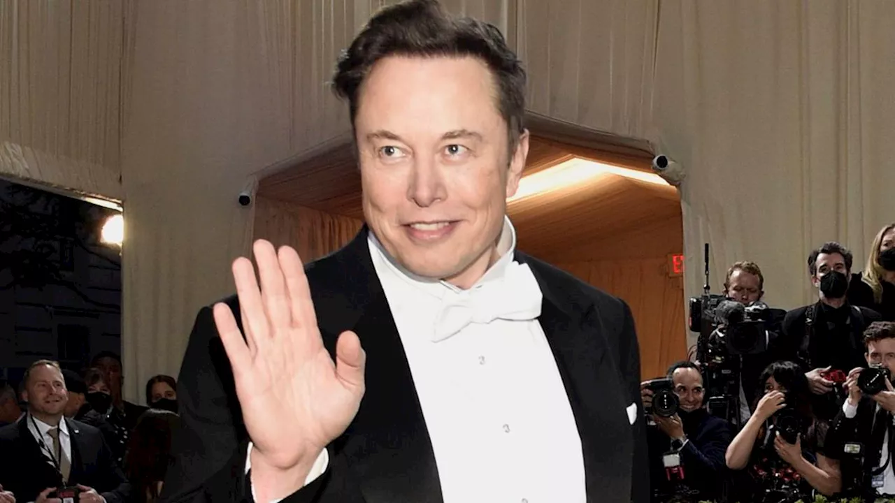 Is Elon Musk the right fit as Tesla's CEO?