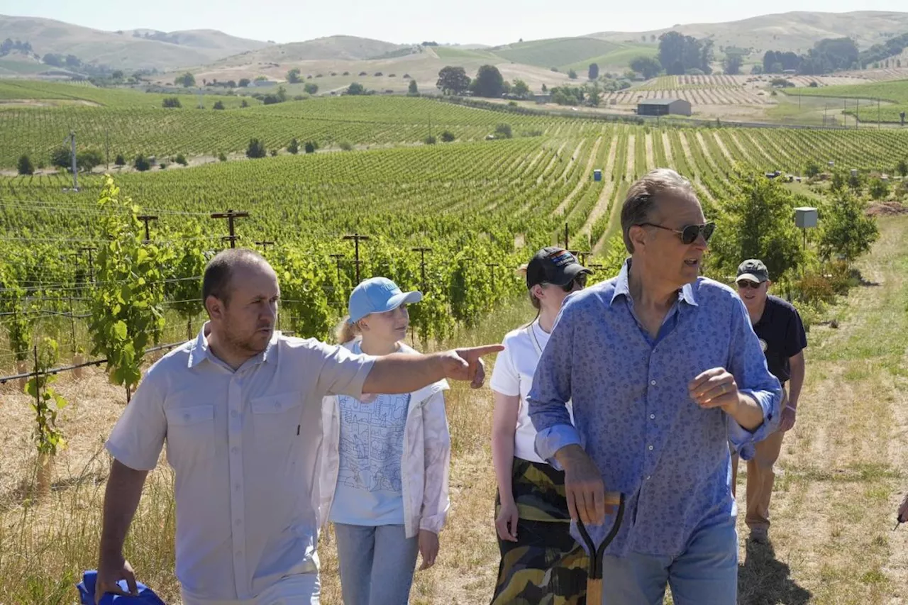 Ukrainian winemakers visit California's Napa Valley to learn how to heal war-ravaged vineyards