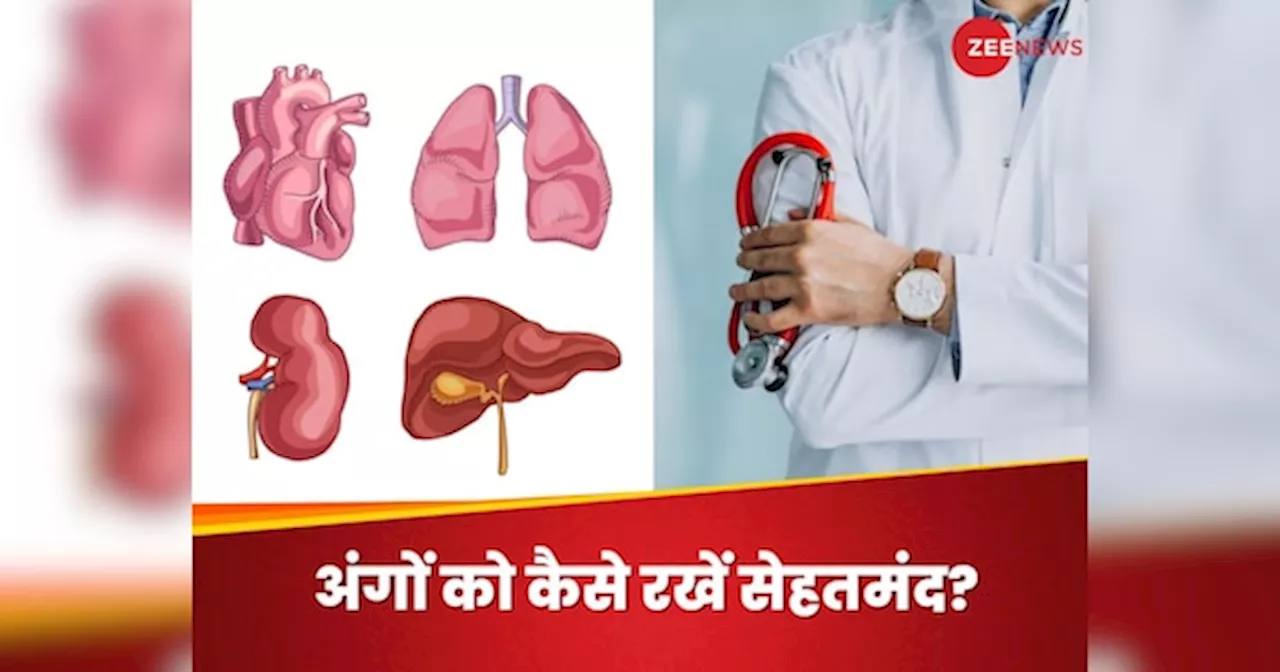 लिवर, लंग्स, दिल और किडनी को कैसे रखें हेल्दी? डॉक्टर ने दिए जरूरी टिप्स, जरूर करें फॉलो