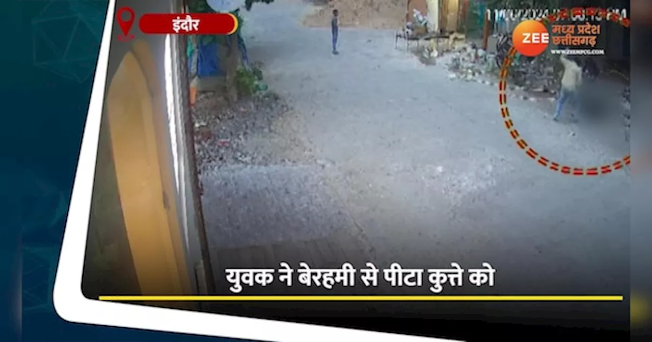 Indore Video: युवक ने कुत्ते को बेरहमी से पीटा, पूंछ पकड़कर घसीटा, देखें दिल दहला देने वाला वीडियो