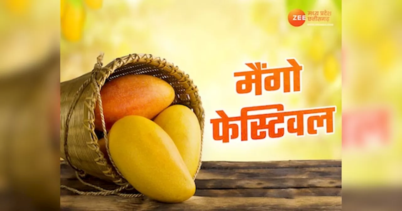 Mango Festival: आम के शौकीन हैं तो पहुंच जाइए भोपाल, मैंगो फेस्टिवल में लीजिए नूरजहां से लेकर सुंदरजा तक का मजा