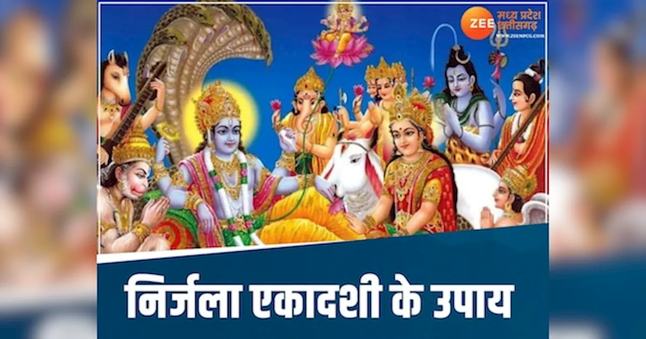 Nirjala Ekadashi 2024: निर्जला एकादशी पर जरूर करें ये उपाय, दूर होगी आर्थिक तंगी! मिलेगा मनचाहा वर