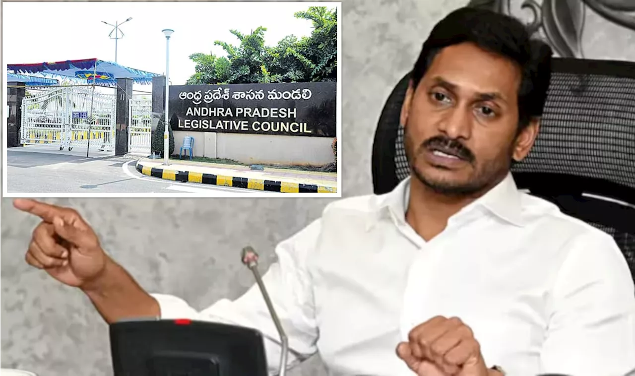 YS Jagan: శాసనమమండలినే జగన్‌ అడ్డా.. చంద్రబాబుపై పోరాడుదామంటూ ఎమ్మెల్సీలకు దిశానిర్దేశం