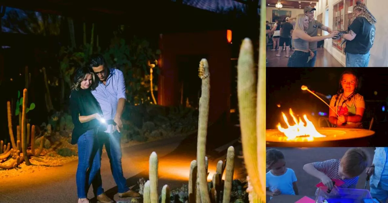 Here’s what you can expect at the Desert Botanical Garden’s ‘Flashlight Nights’