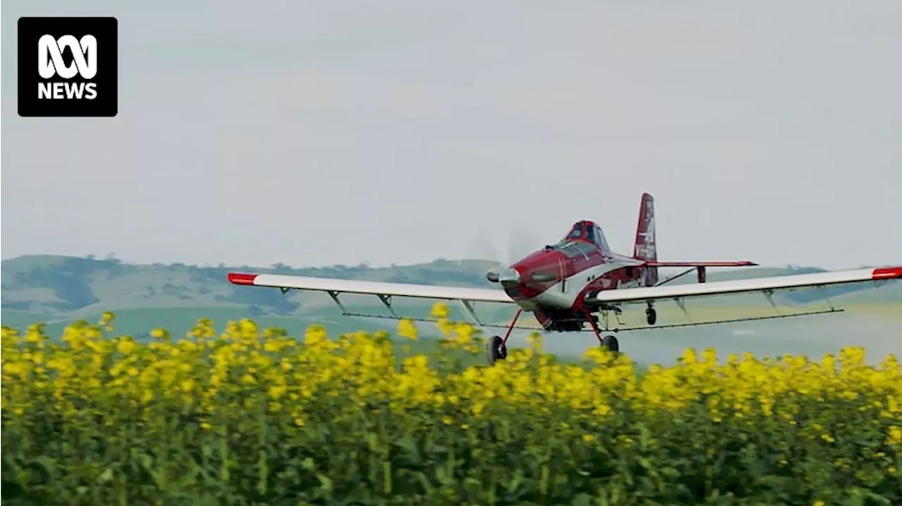 Backlash after CBH successfully petitions ISCC grain program to water down aerial spraying regulations