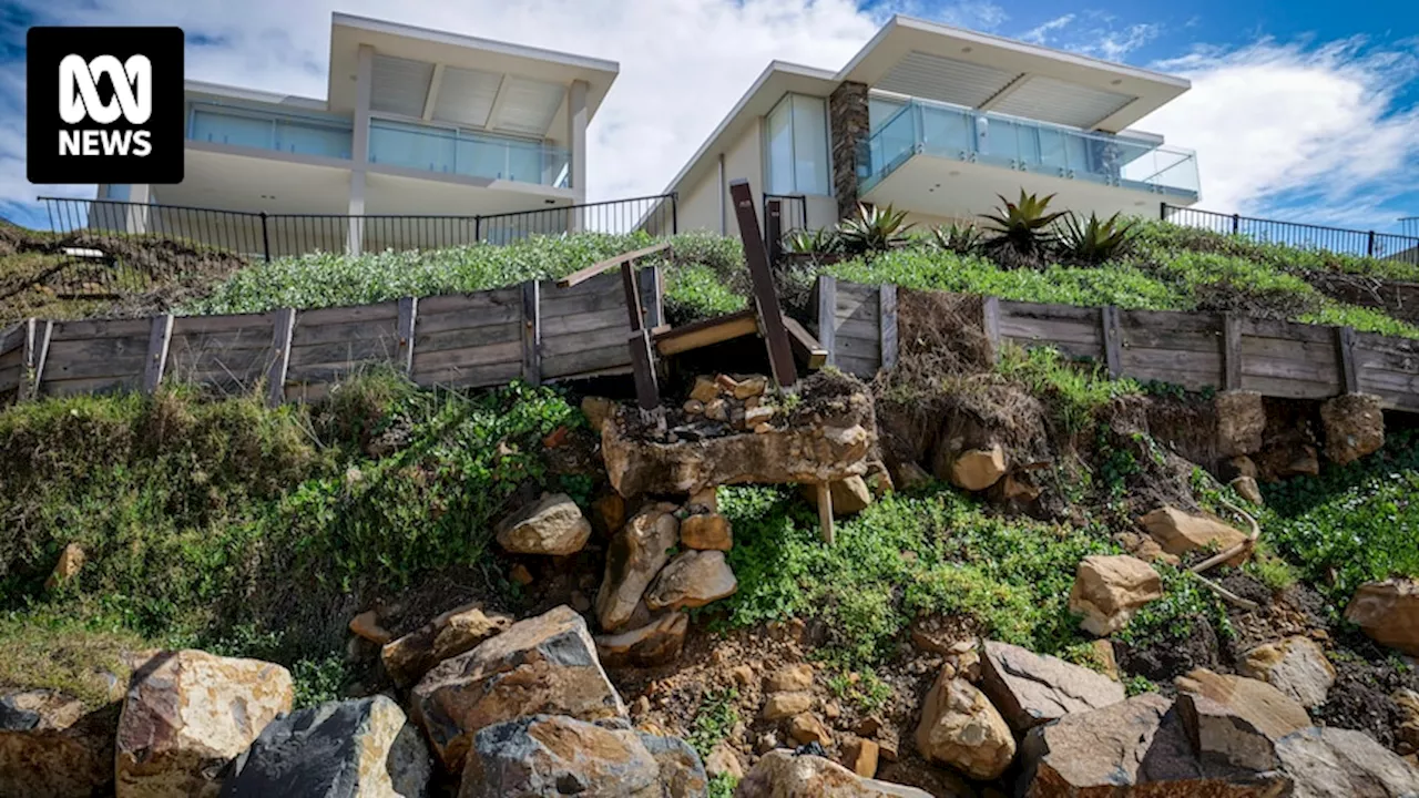 Could replenishing beaches with sand nourishing help solve NSW's coastal erosion problem?