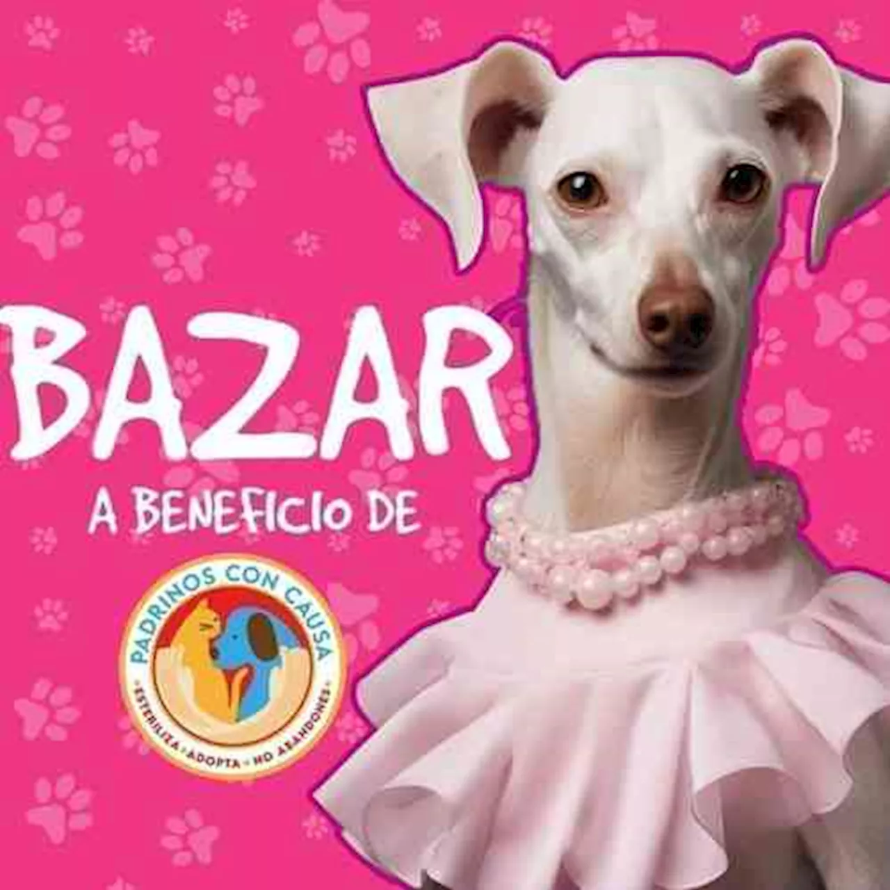 Bazar con causa en Córdoba, a favor de los peludos en situación de calle