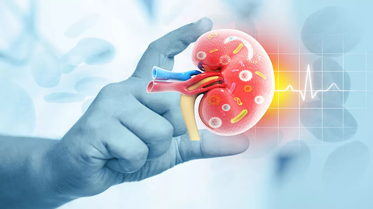 Kidney Disease: युवाओं में इन दो वजहों से बढ़ रही हैं किडनी की बीमारियां, कहीं आप भी तो नहीं हैं शिकार?