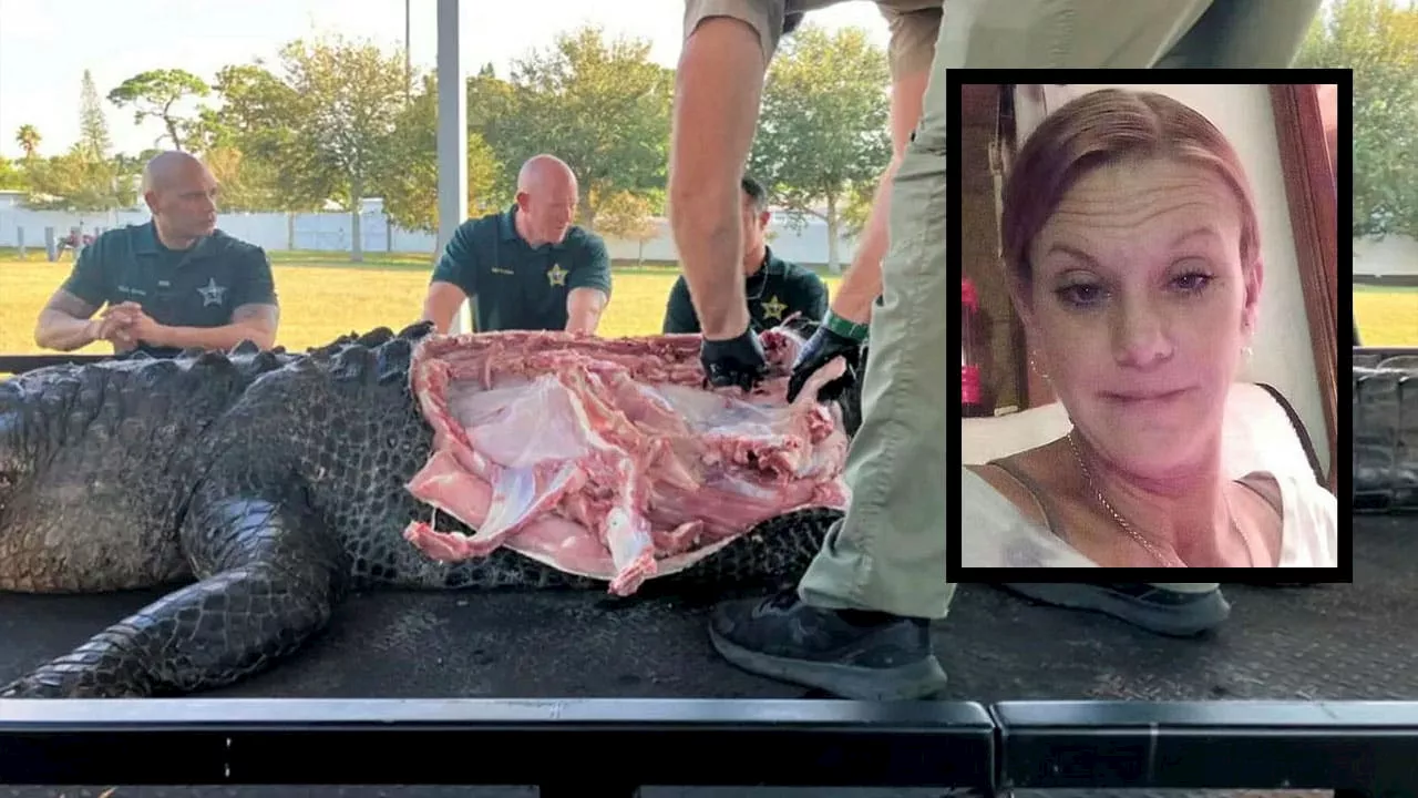 Florida (USA): Alligator frisst Frau (†41) – Körperteile aus Bauch geschnitten