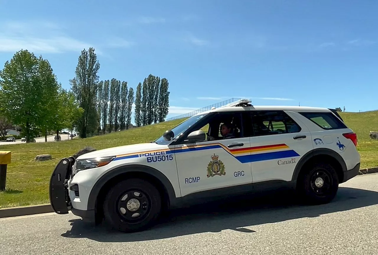 Bear triggers police presence, lockdowns at Burnaby schools