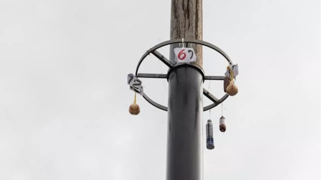 Meats and cheeses hanging from a greasy pole in Philadelphia finally cut down after a month