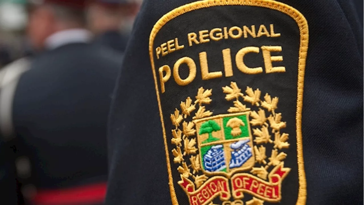 Five people charged after Toronto jewelry store, Mississauga electronics store robbed