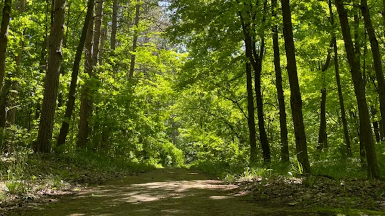 Uxbridge provincial park will be opened to the public free of charge on Canada Day