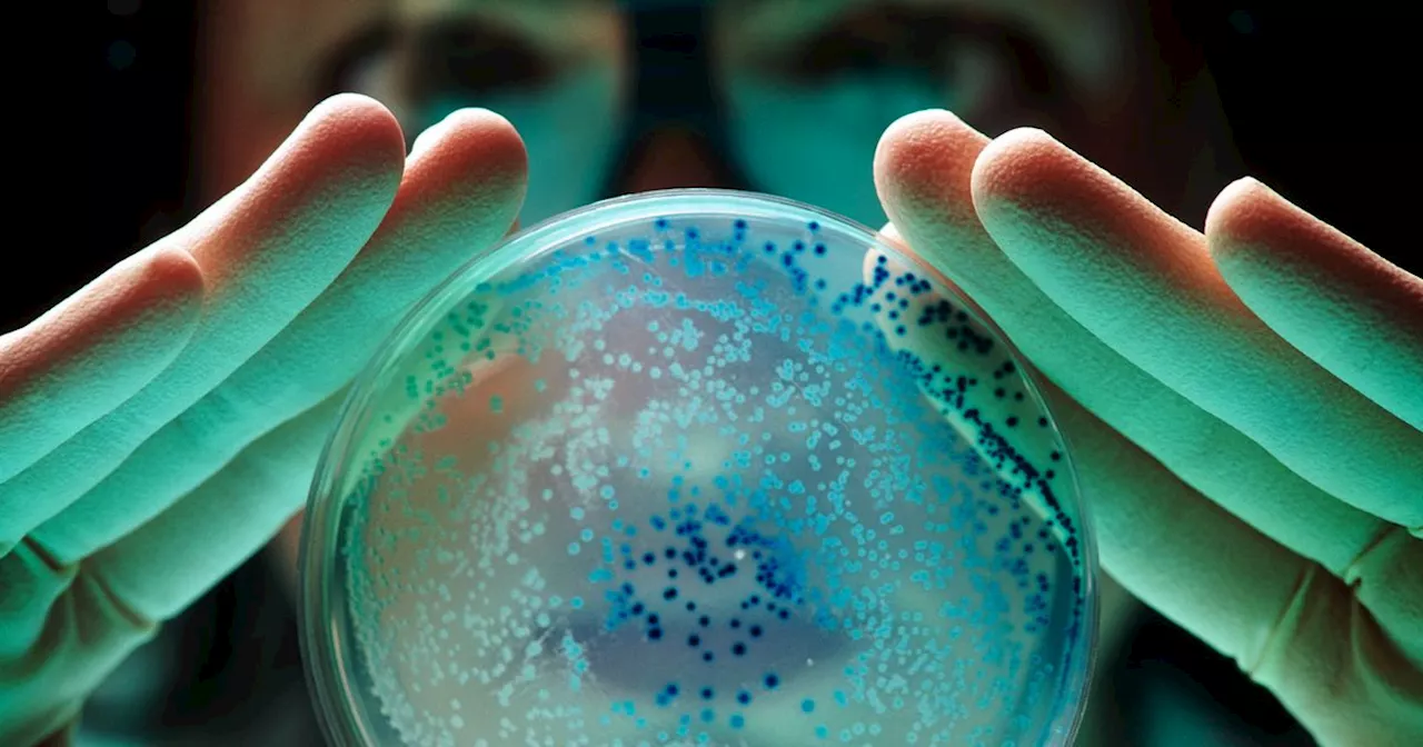 More Scots struck down with E Coli as supermarket sandwiches linked to outbreak