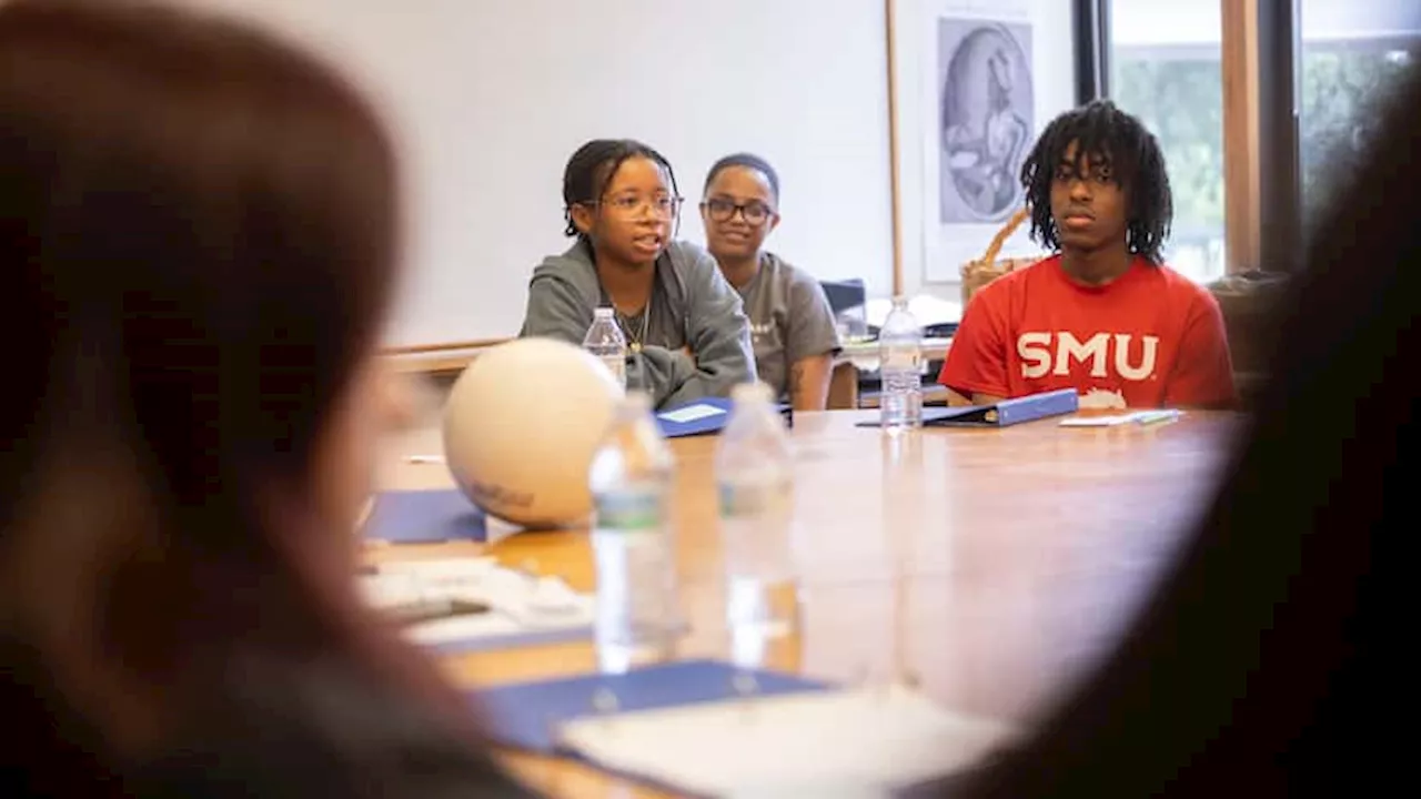 Brewer Foundation adjusts summer program for DISD students to focus on mental health