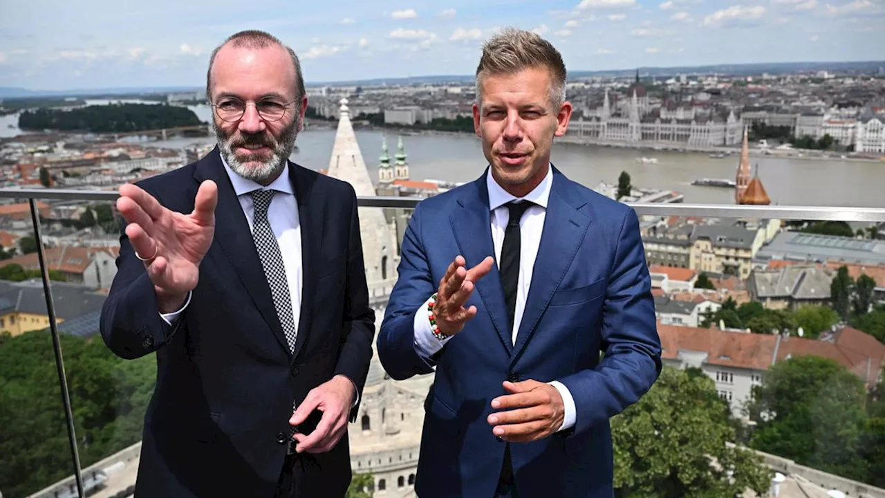 Neuordnung in Europa: Wie Manfred Weber Ungarns Premier Orbán besiegen will