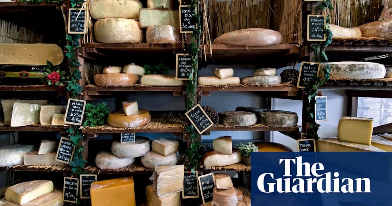 Hommage to fromage: France’s first cheese museum opens in Paris