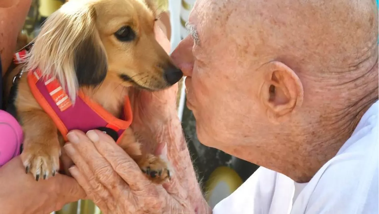 Ernie compie 95 anni, e a fargli il regalo più bello sono stati dei cani