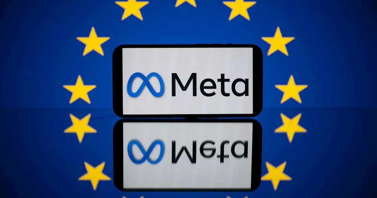 Meta pauses AI plans for Europe after Irish regulator request