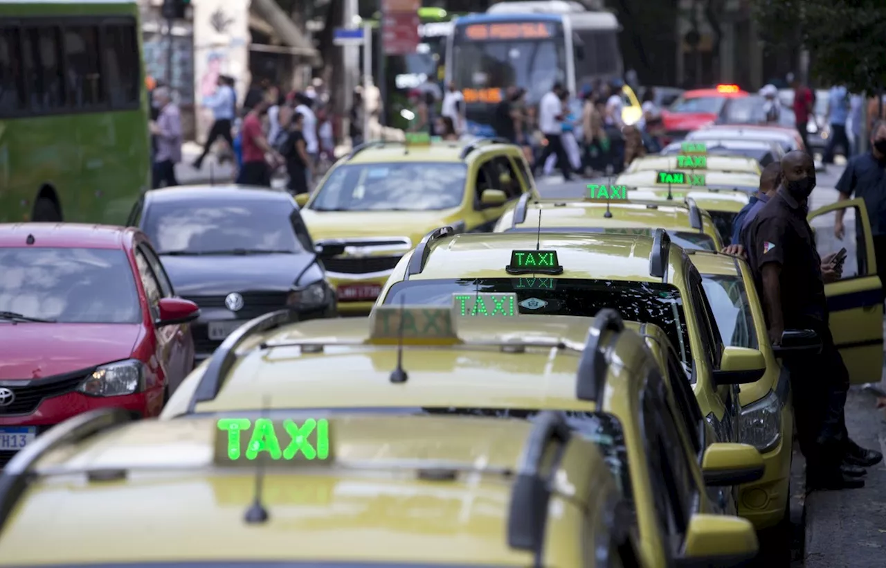 'Taxista pet friendly': adesivo indicará motoristas que aceitam transportar animais de estimação no Rio