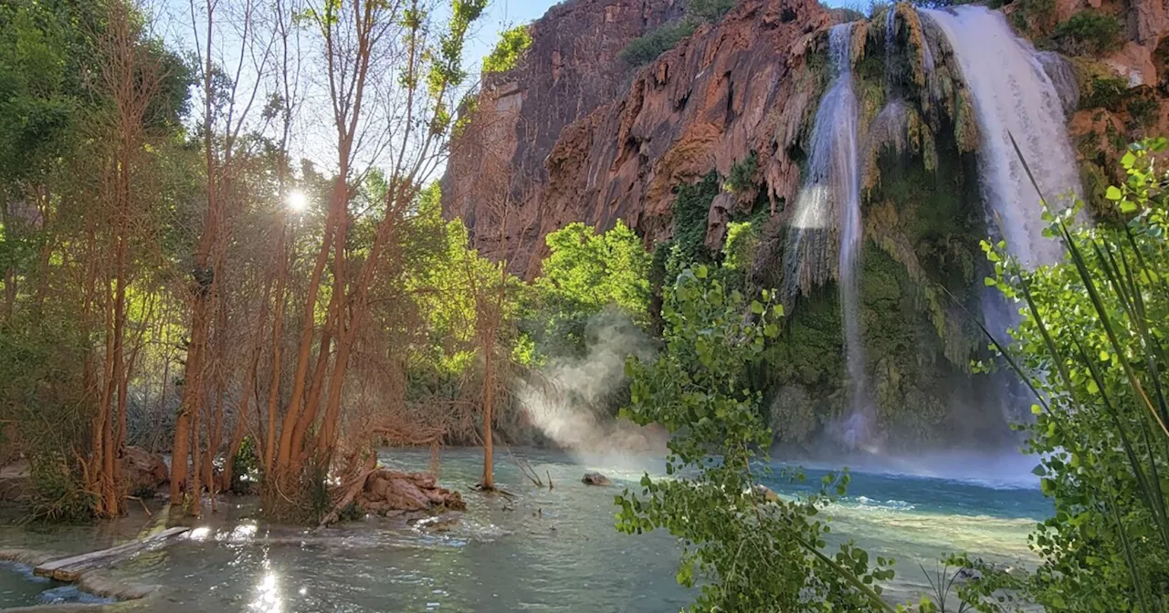 Dozens of hikers became ill during trips to waterfalls near the Grand Canyon