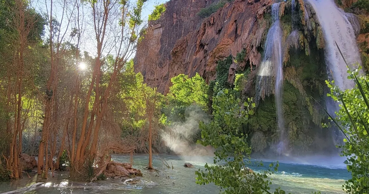 Dozens of hikers became ill during trips to waterfalls near the Grand Canyon