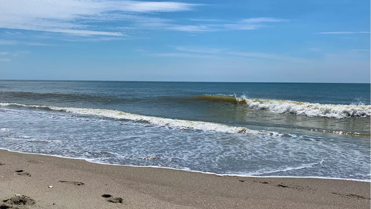 Officer on administrative leave after beachgoer struck, killed by patrol truck