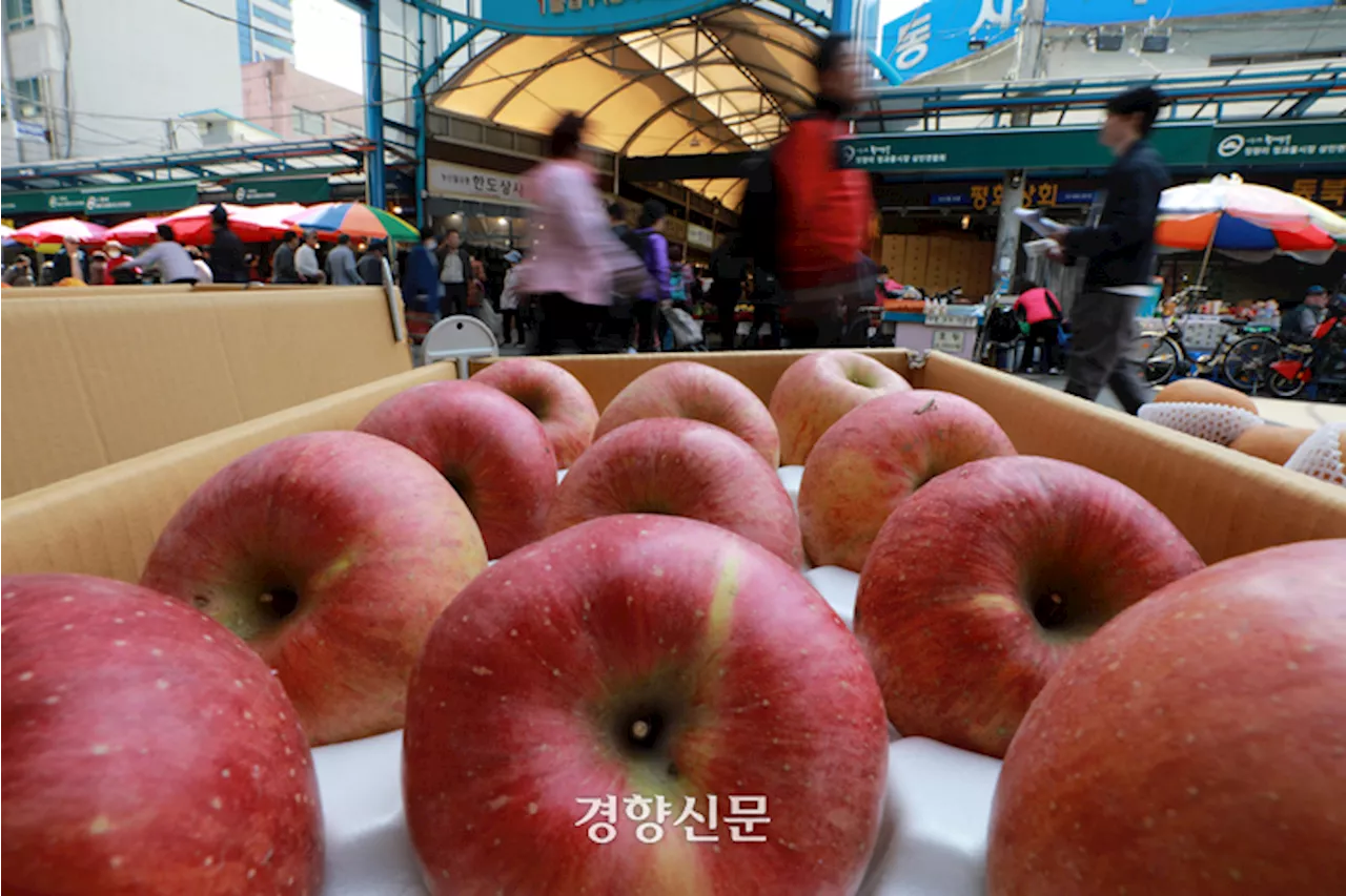 ‘내수 회복이냐 부진이냐’…정부와 국책연의 엇갈린 경기 판단