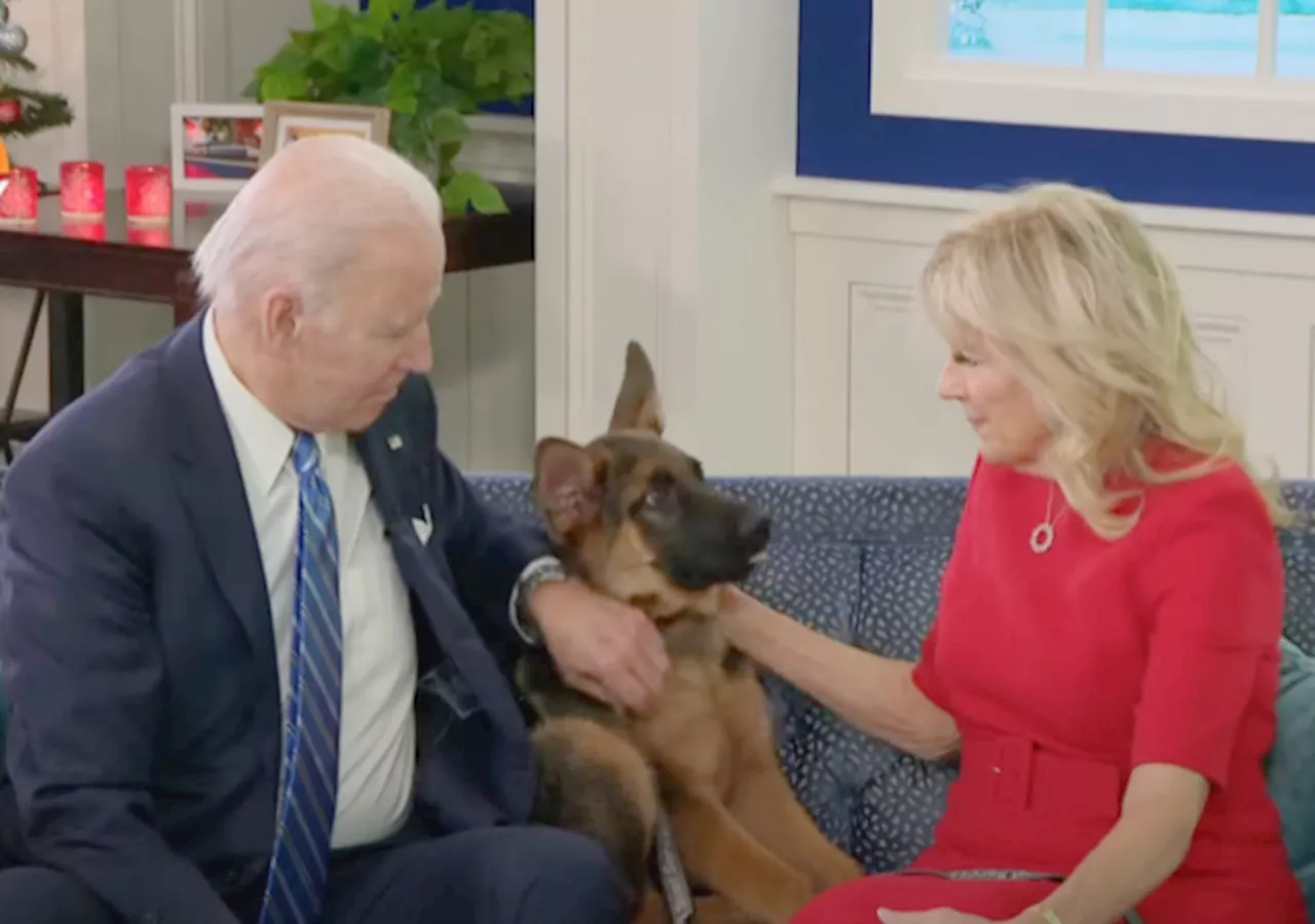 Report: Biden Watched His Dog Commander Attack Secret Service Agents Numerous Times