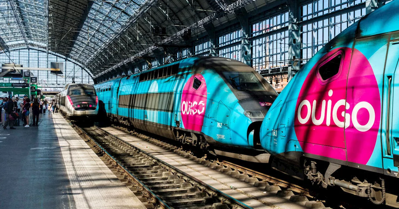 Nouvelles liaisons, nouvelles rames, nouveau design : la SNCF renforce son offre Ouigo