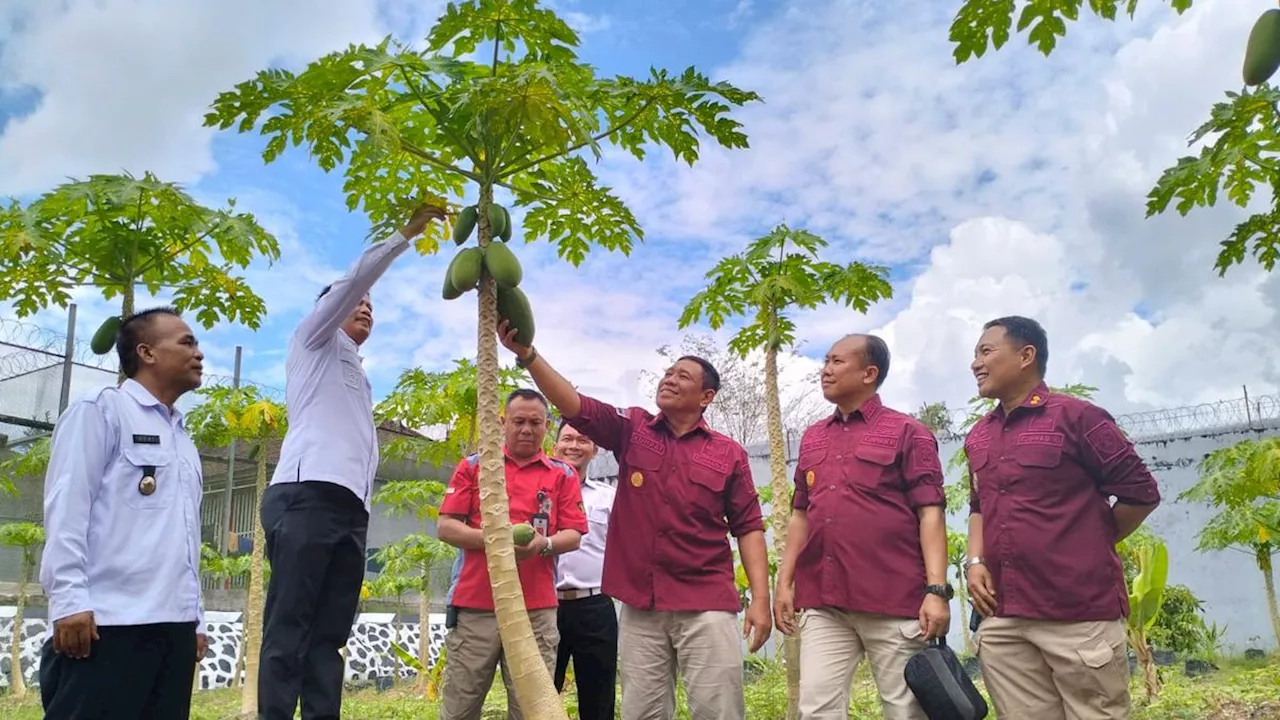 Bantu Atasi Ketahanan Pangan, Lapas Tanjungpandan Ajari Narapidana Bertani