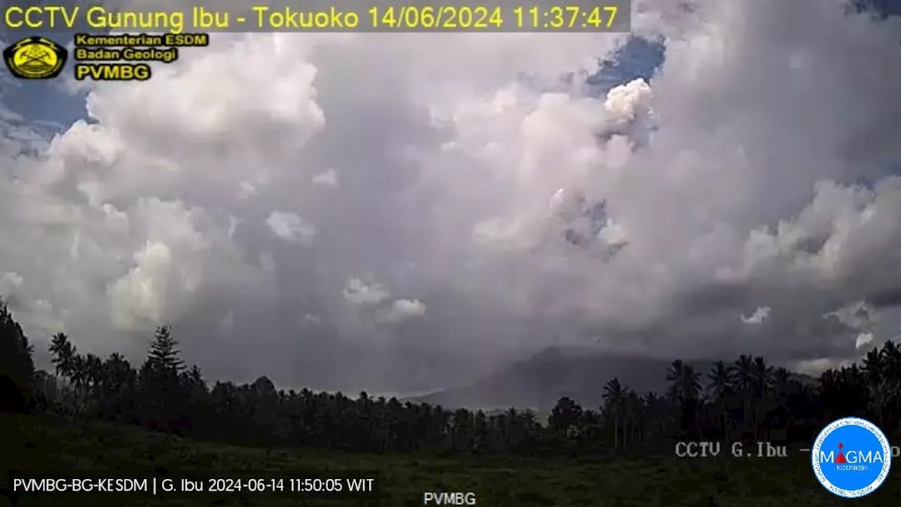 Gunung Ibu Erupsi Dahsyat Lagi, Semburan Abu Vulkanik Capai 2.500 Meter, Status Masih Awas