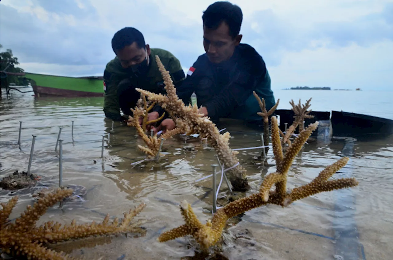 Empat Pengusaha Tambak Udang Tersangka Perusakan Taman Nasional Karimunjawa Segera Disidangkan