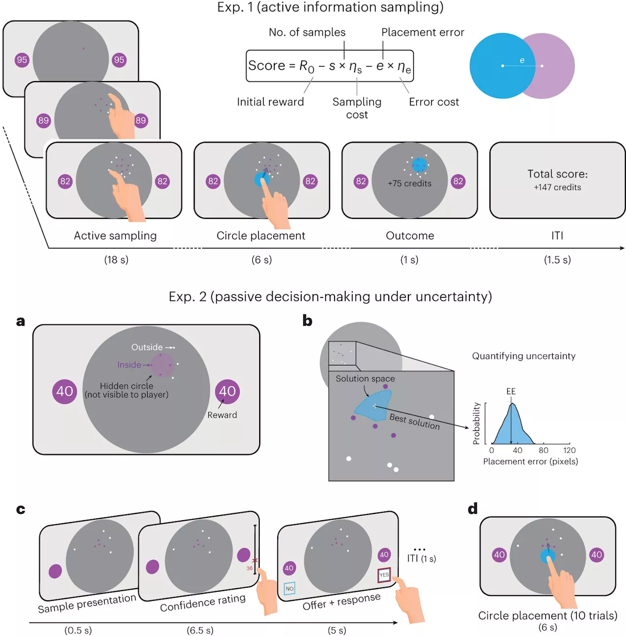 How the human hippocampus contributes to value-based decision-making under uncertainty