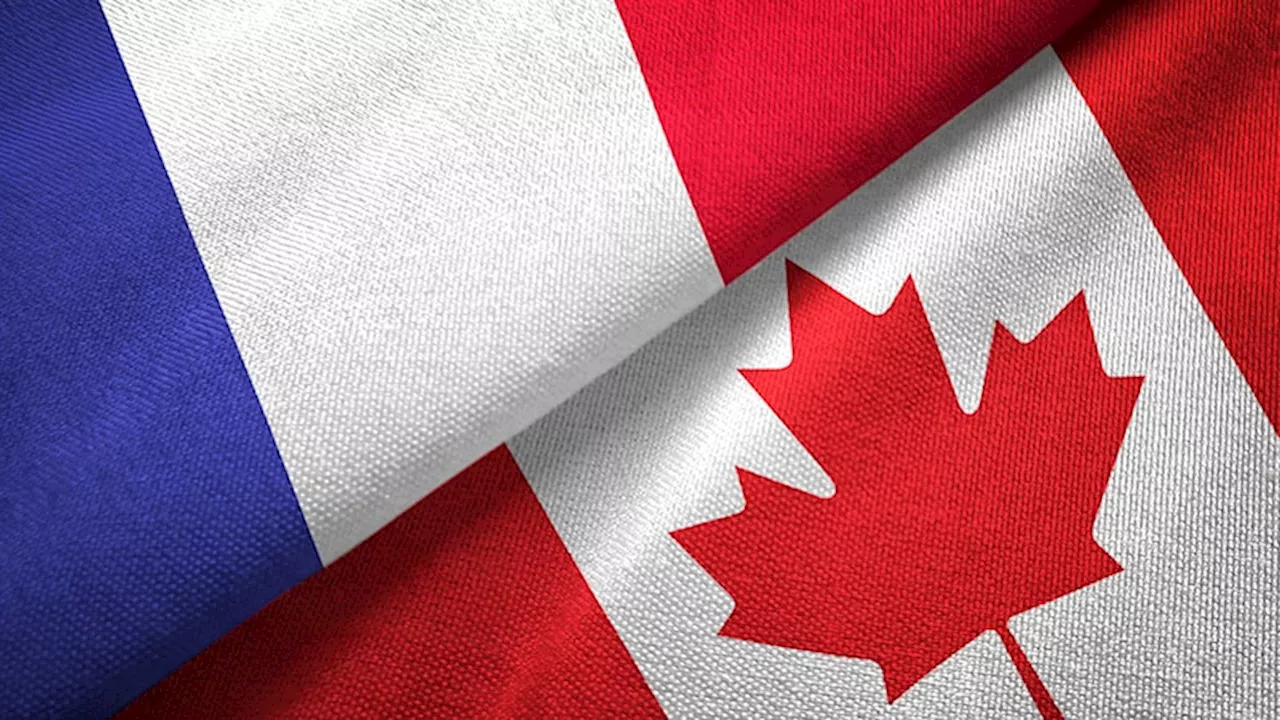 How Can Canadian Doctors Best Care for Francophone Patients?