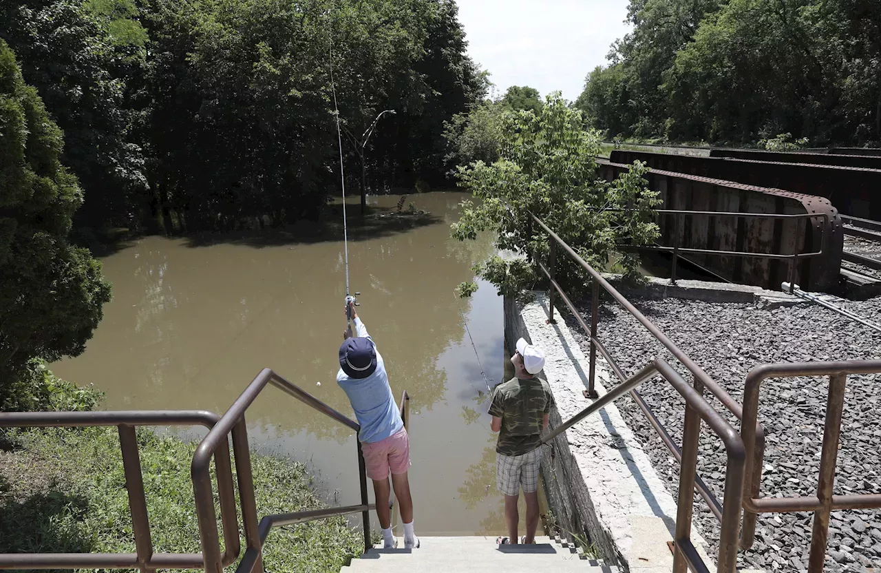 Illinois News Illinois' Free Fishing Days for 2024 begin Friday