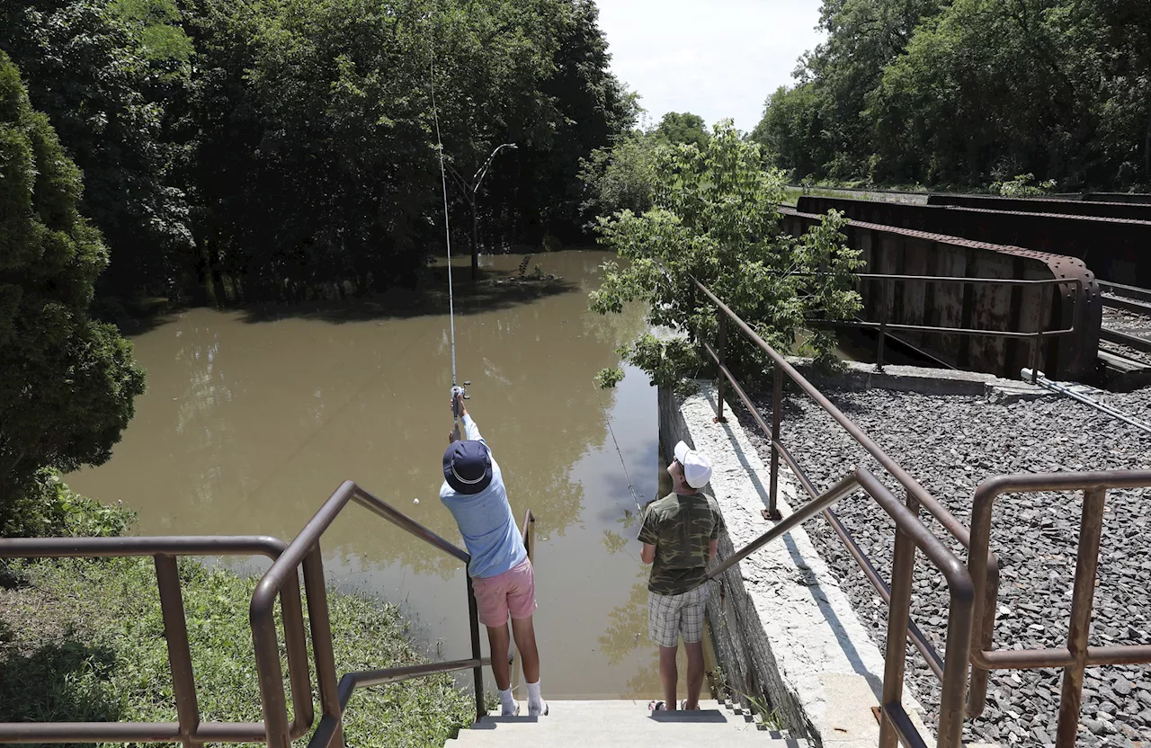 Illinois' Free Fishing Days for 2024 begin Friday