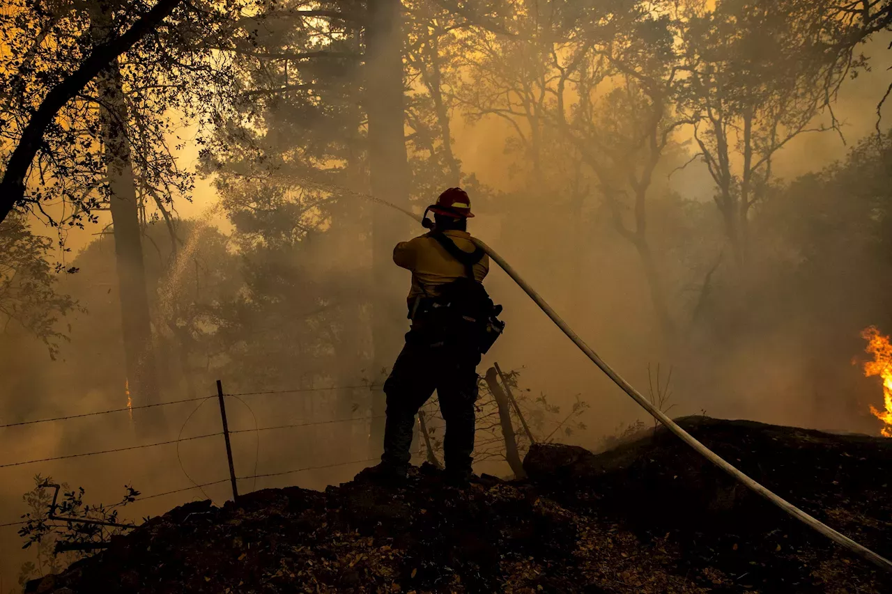 Wildfires: LA County Fire Officials To Provide 2024 Wildfires Outlook ...