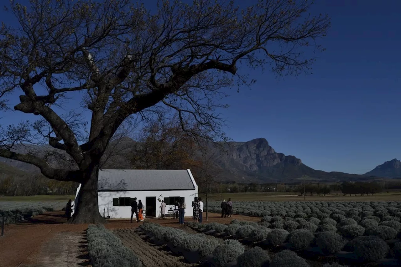 Inside Michelin-star chef Jan's intimate Franschhoek pop-up restaurant