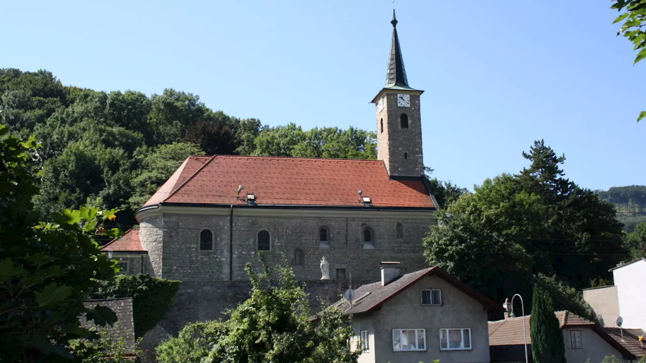 Drei Konzerte für die Höfleiner Orgel