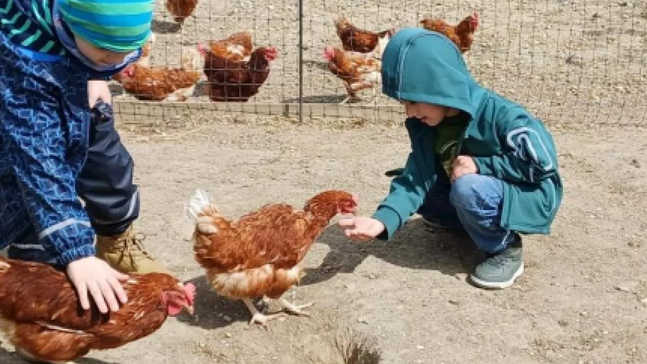 Korneuburger Volksschüler lernten Ursprung der Lebensmittel kennen