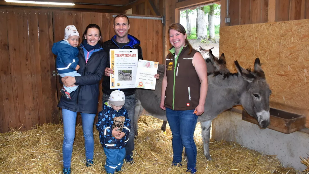 Weiterer Pate für den Hausesel „Jimmy“ im Haager Tierpark