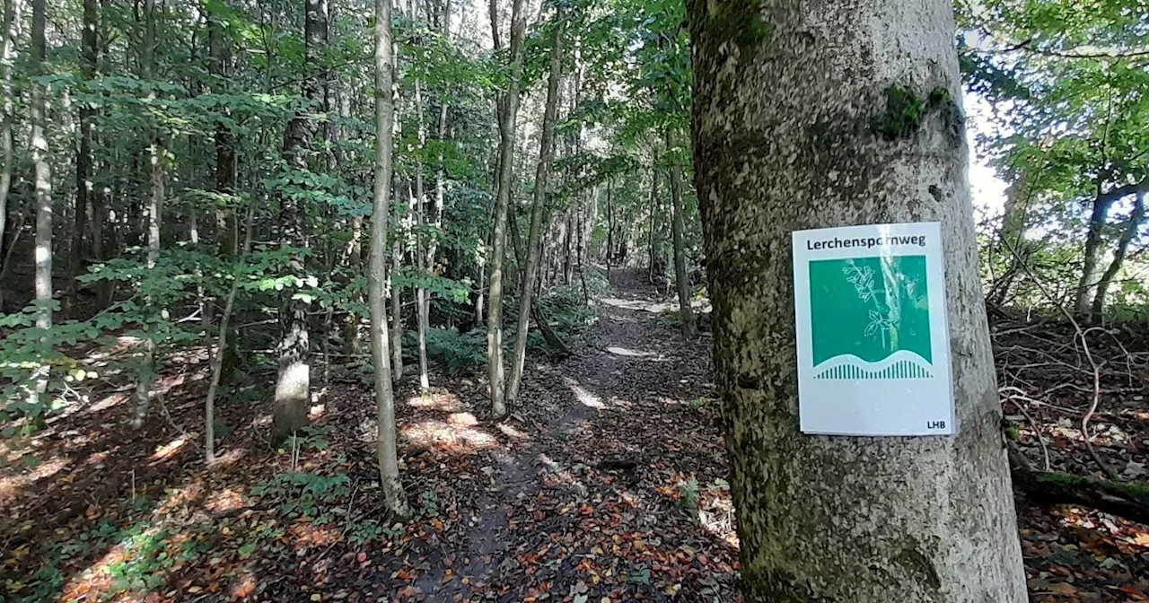 Paderborner reagieren auf das Nein im Kreis Höxter zum Nationalpark Egge